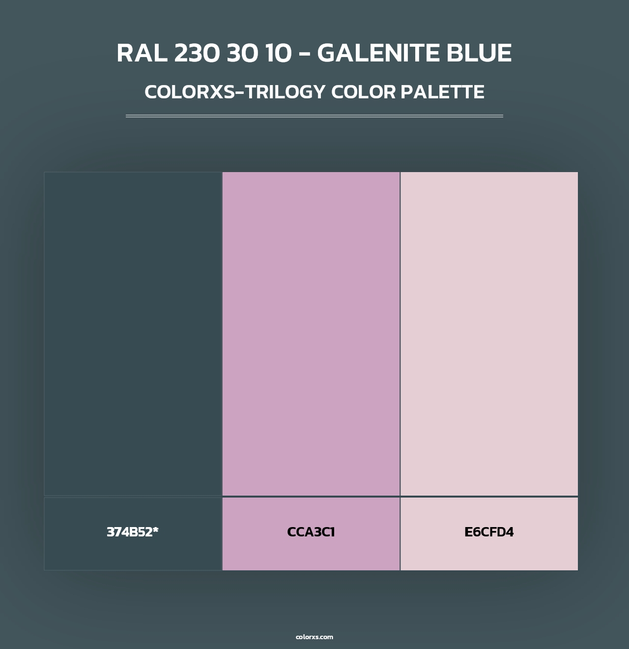 RAL 230 30 10 - Galenite Blue color palettes - colorxs.com