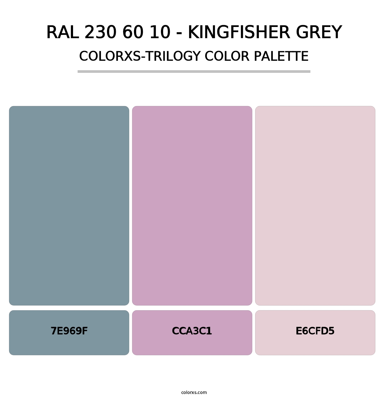 RAL 230 60 10 - Kingfisher Grey - Colorxs Trilogy Palette