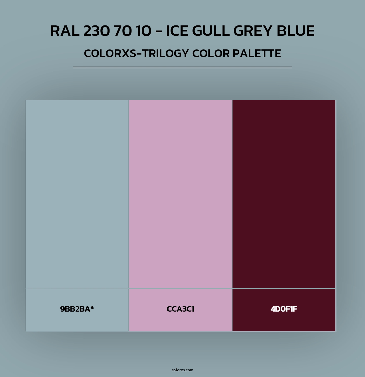 RAL 230 70 10 - Ice Gull Grey Blue - Colorxs Trilogy Palette