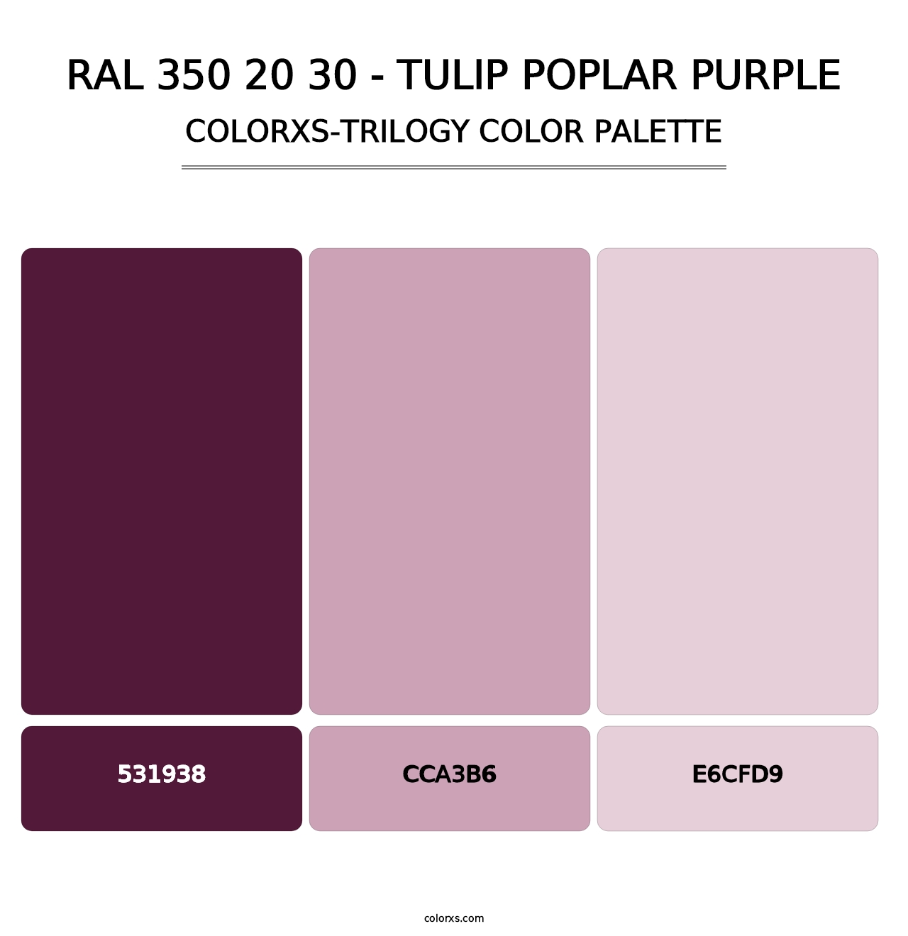 RAL 350 20 30 - Tulip Poplar Purple - Colorxs Trilogy Palette