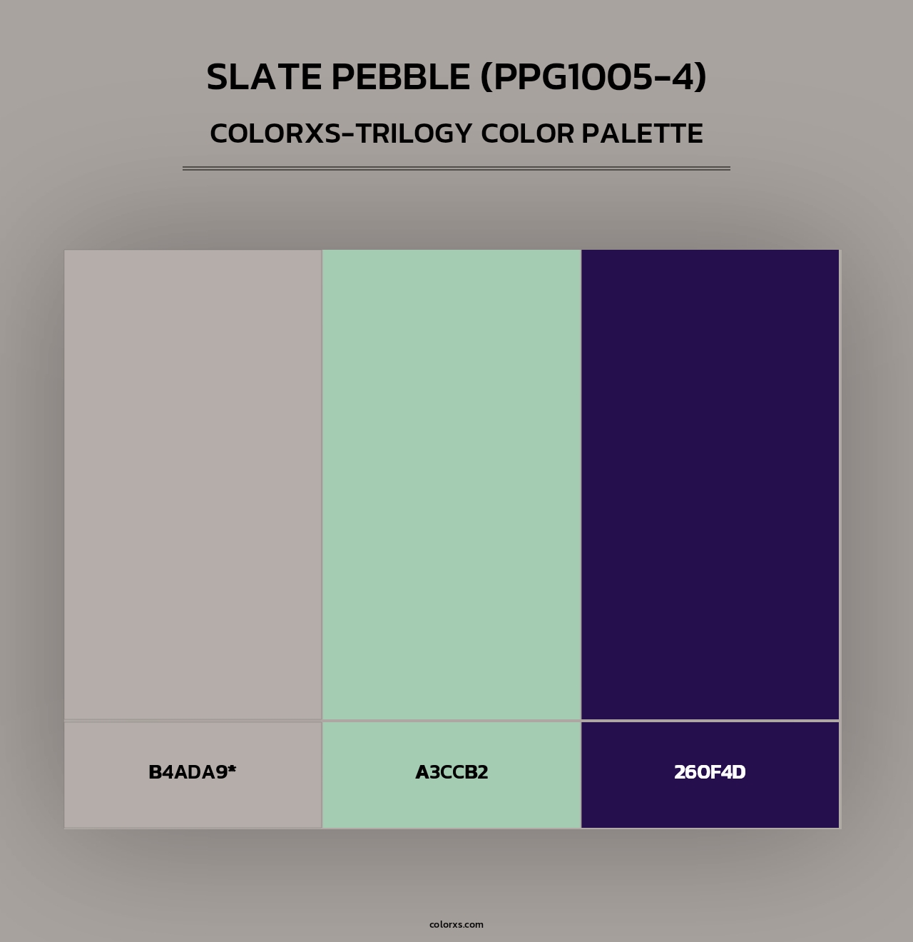 Slate Pebble (PPG1005-4) - Colorxs Trilogy Palette