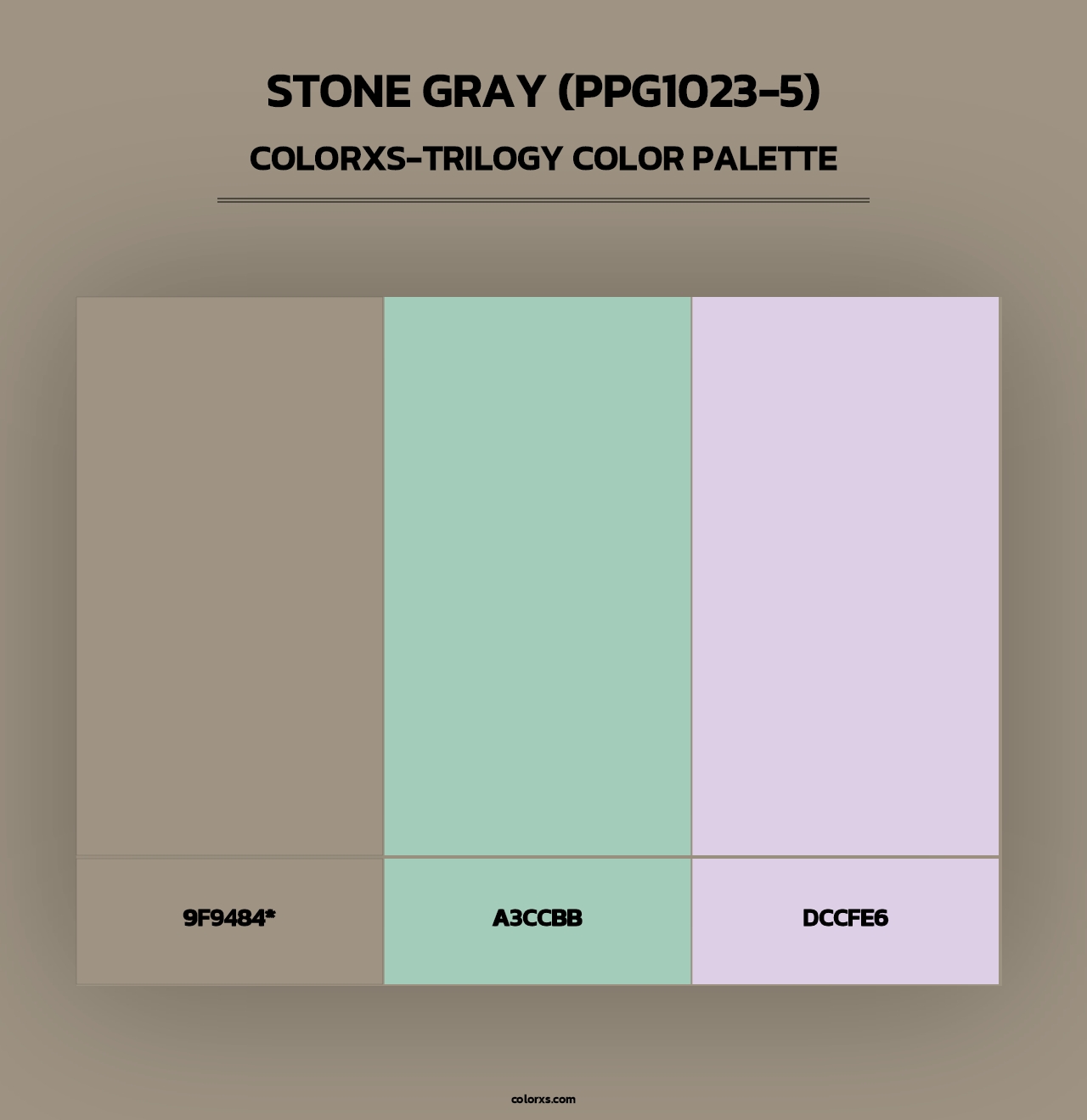 Stone Gray (PPG1023-5) - Colorxs Trilogy Palette