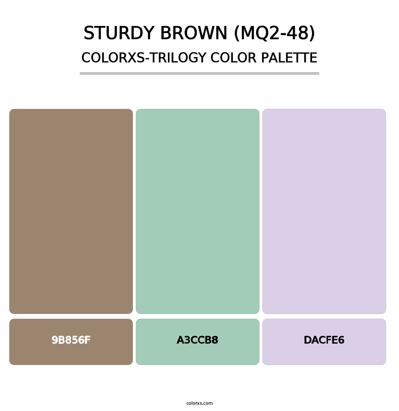 Sturdy Brown (MQ2-48) - Colorxs Trilogy Palette