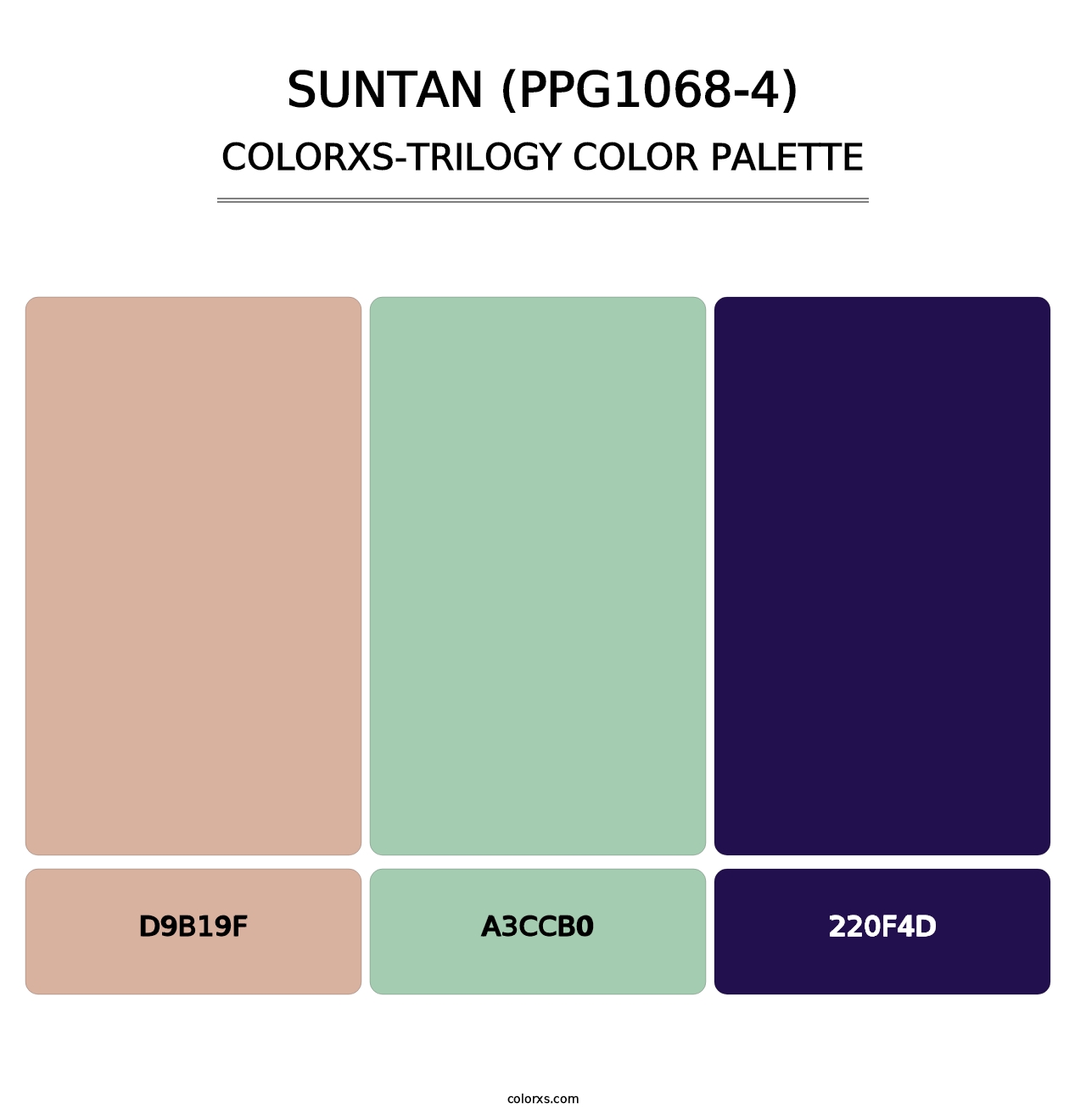 Suntan (PPG1068-4) - Colorxs Trilogy Palette