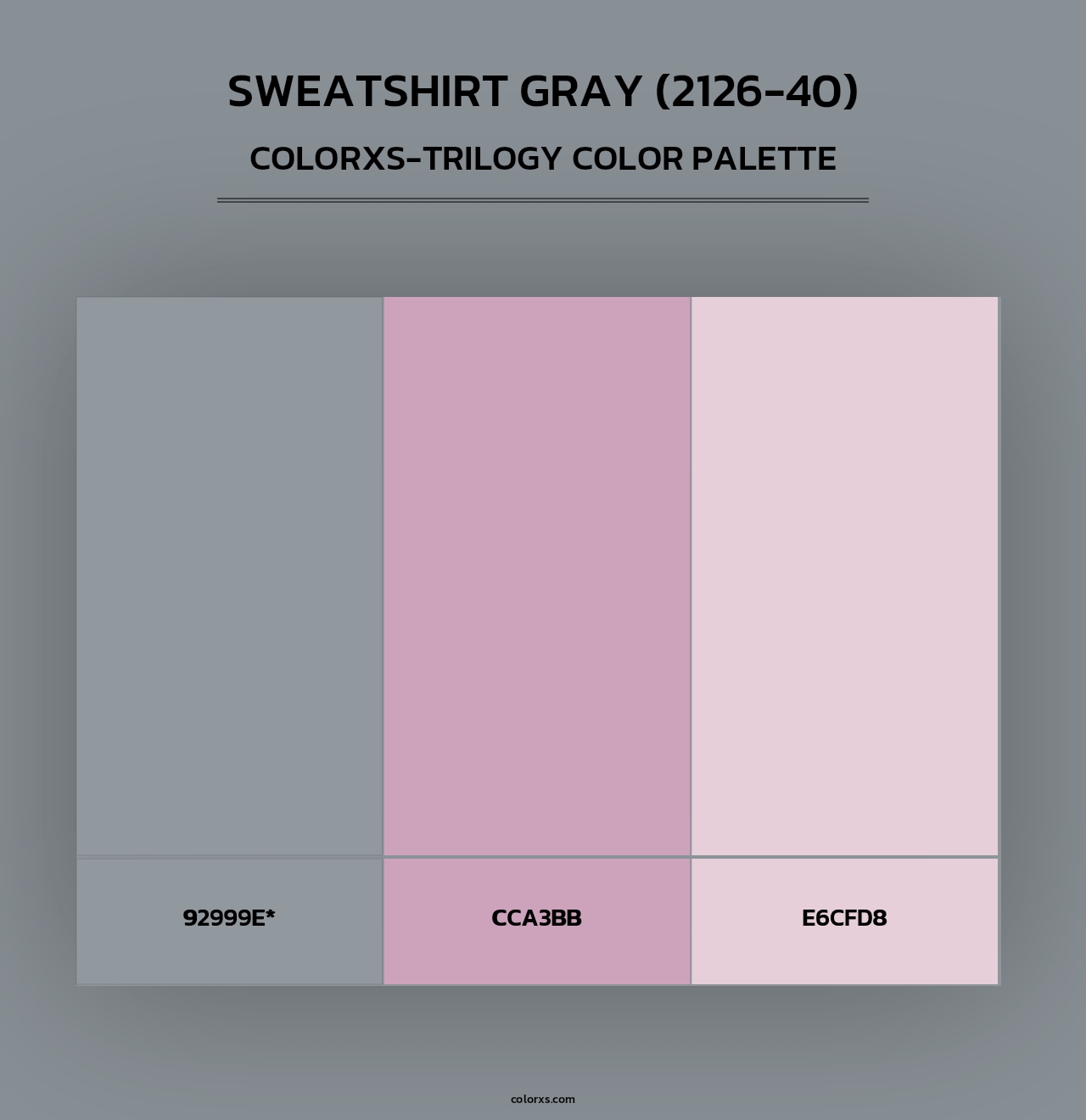 Sweatshirt Gray (2126-40) - Colorxs Trilogy Palette