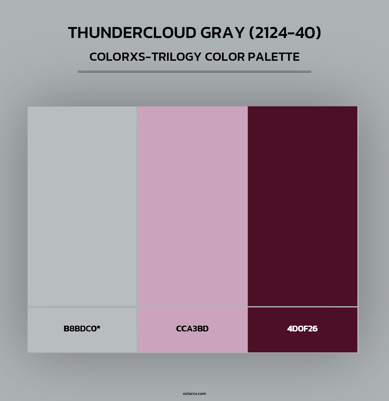 Thundercloud Gray (2124-40) - Colorxs Trilogy Palette