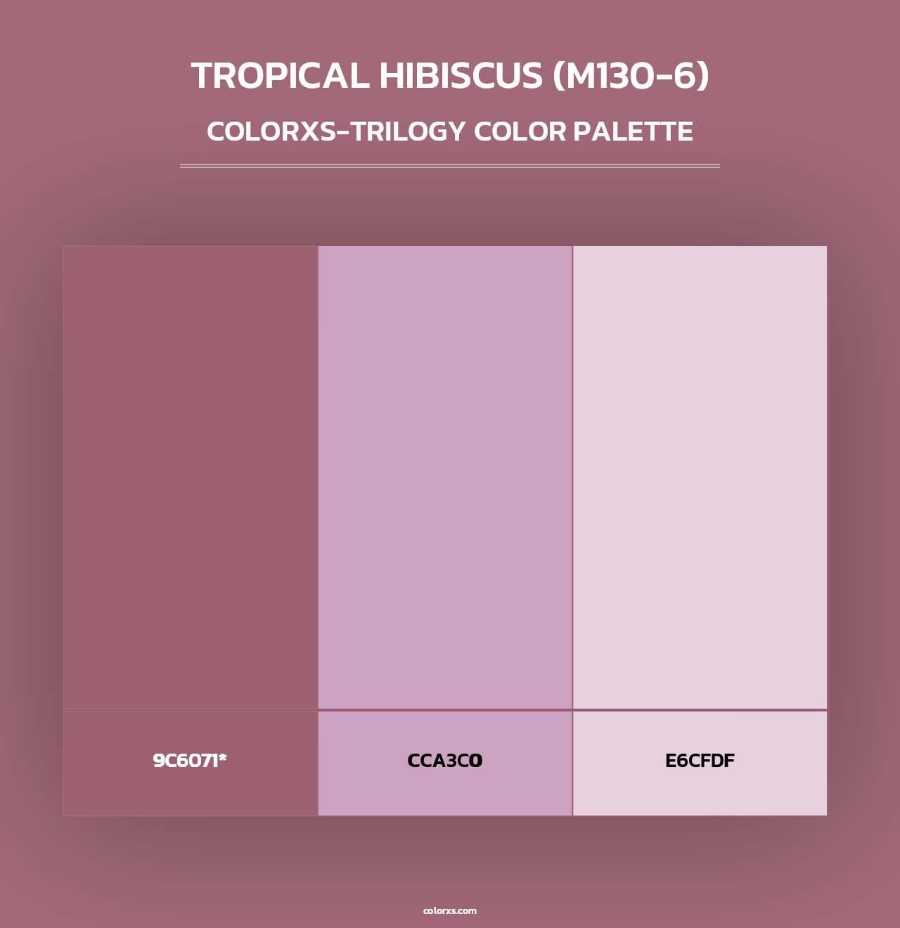 Tropical Hibiscus (M130-6) - Colorxs Trilogy Palette