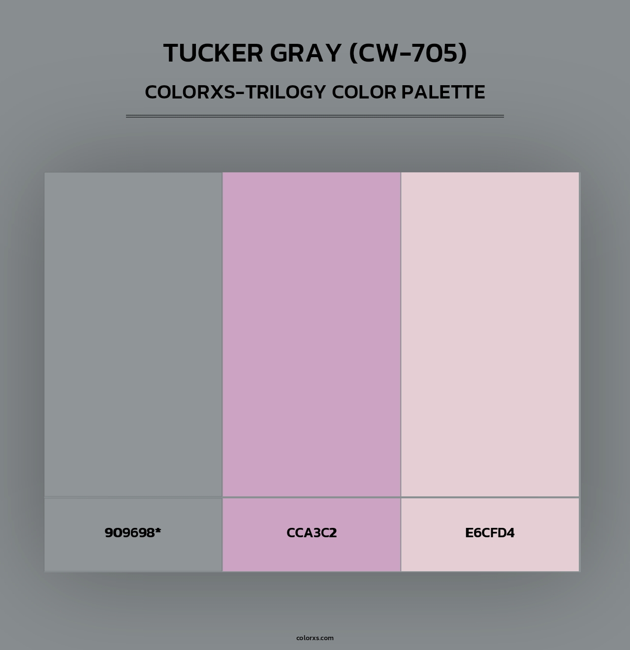 Tucker Gray (CW-705) - Colorxs Trilogy Palette