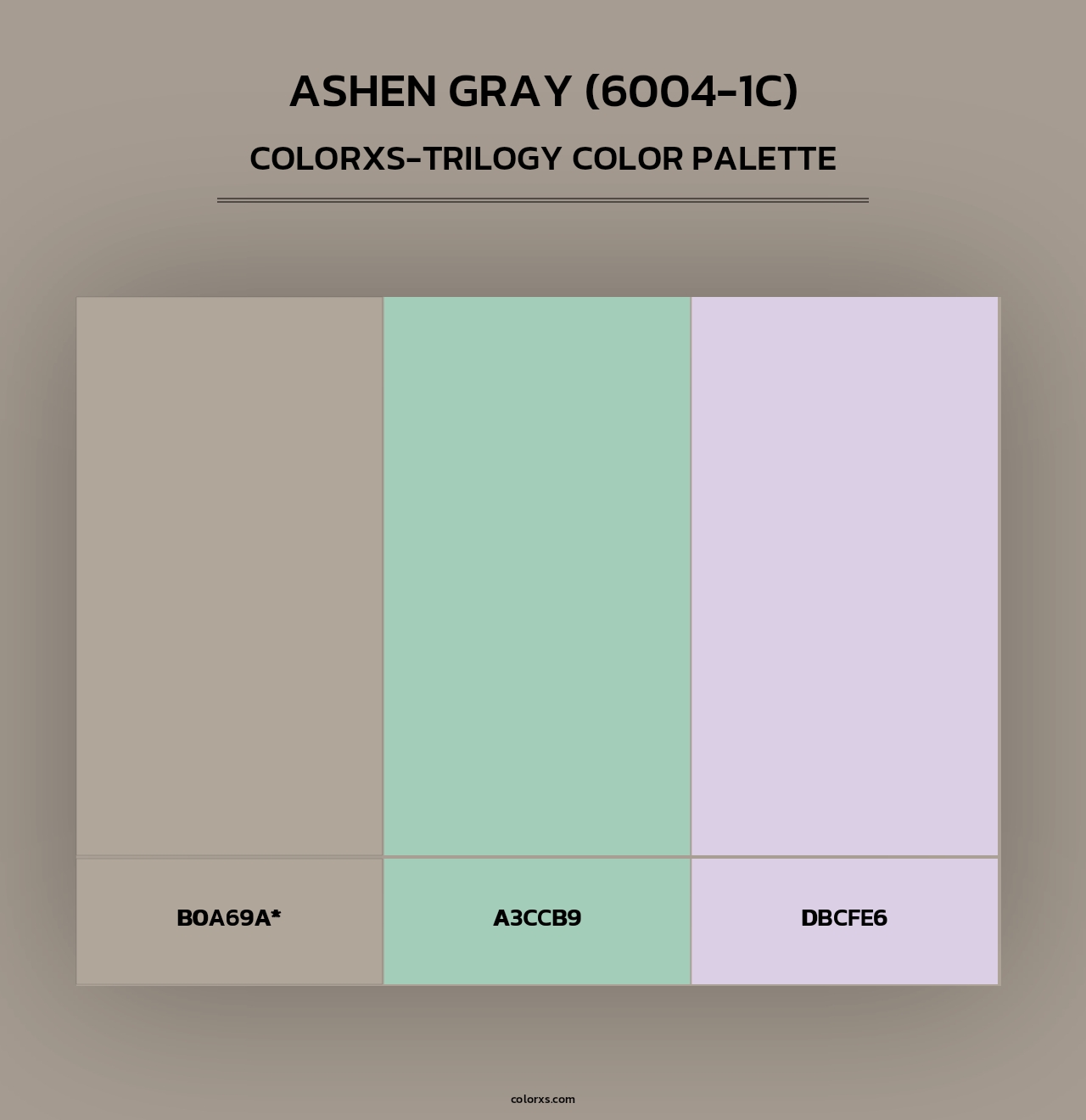 Ashen Gray (6004-1C) - Colorxs Trilogy Palette