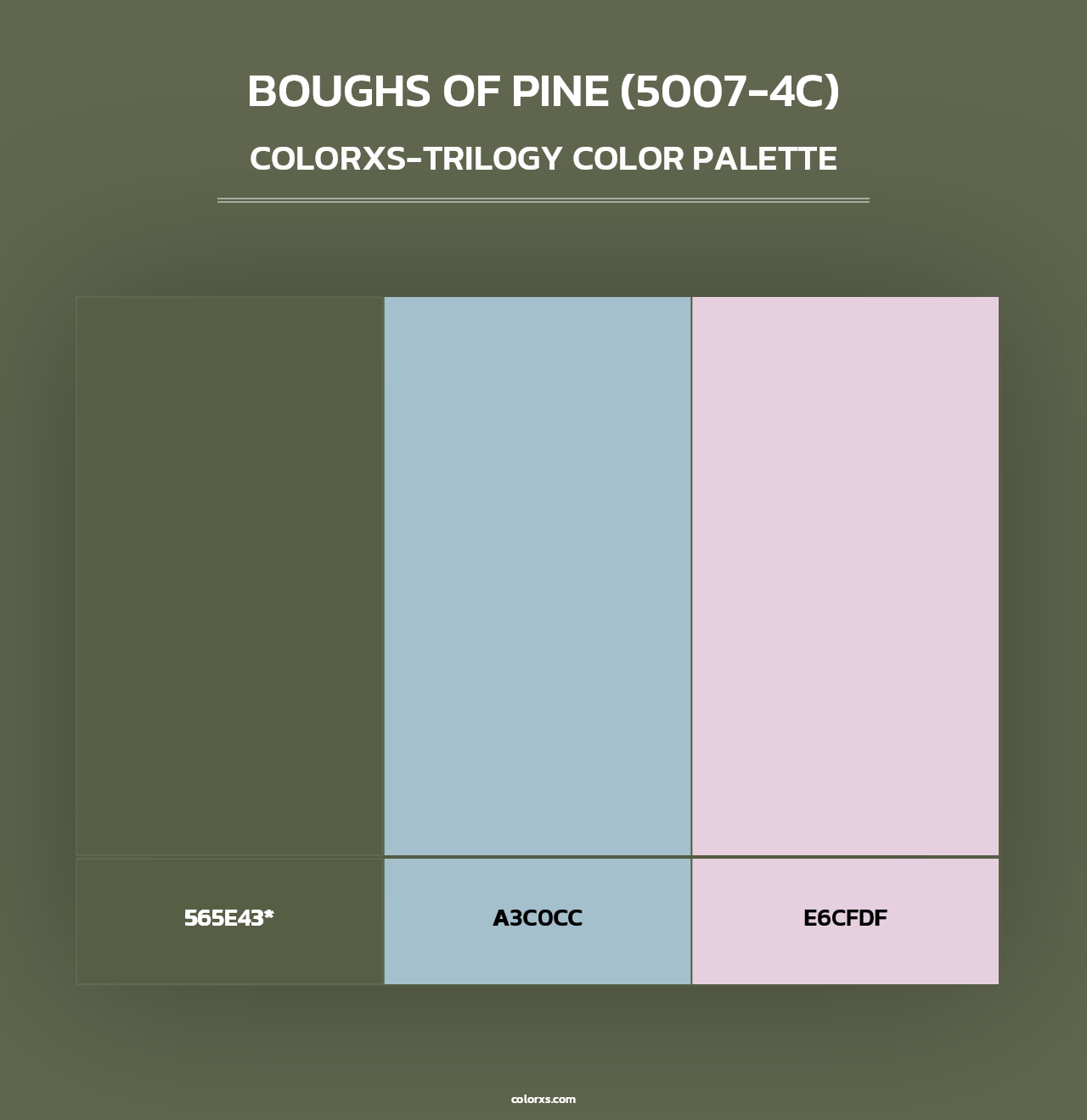 Boughs of Pine (5007-4C) - Colorxs Trilogy Palette