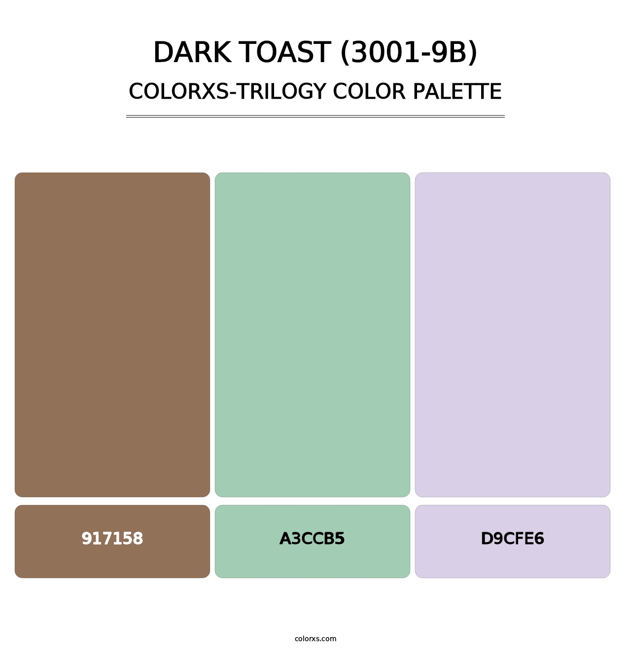 Dark Toast (3001-9B) - Colorxs Trilogy Palette