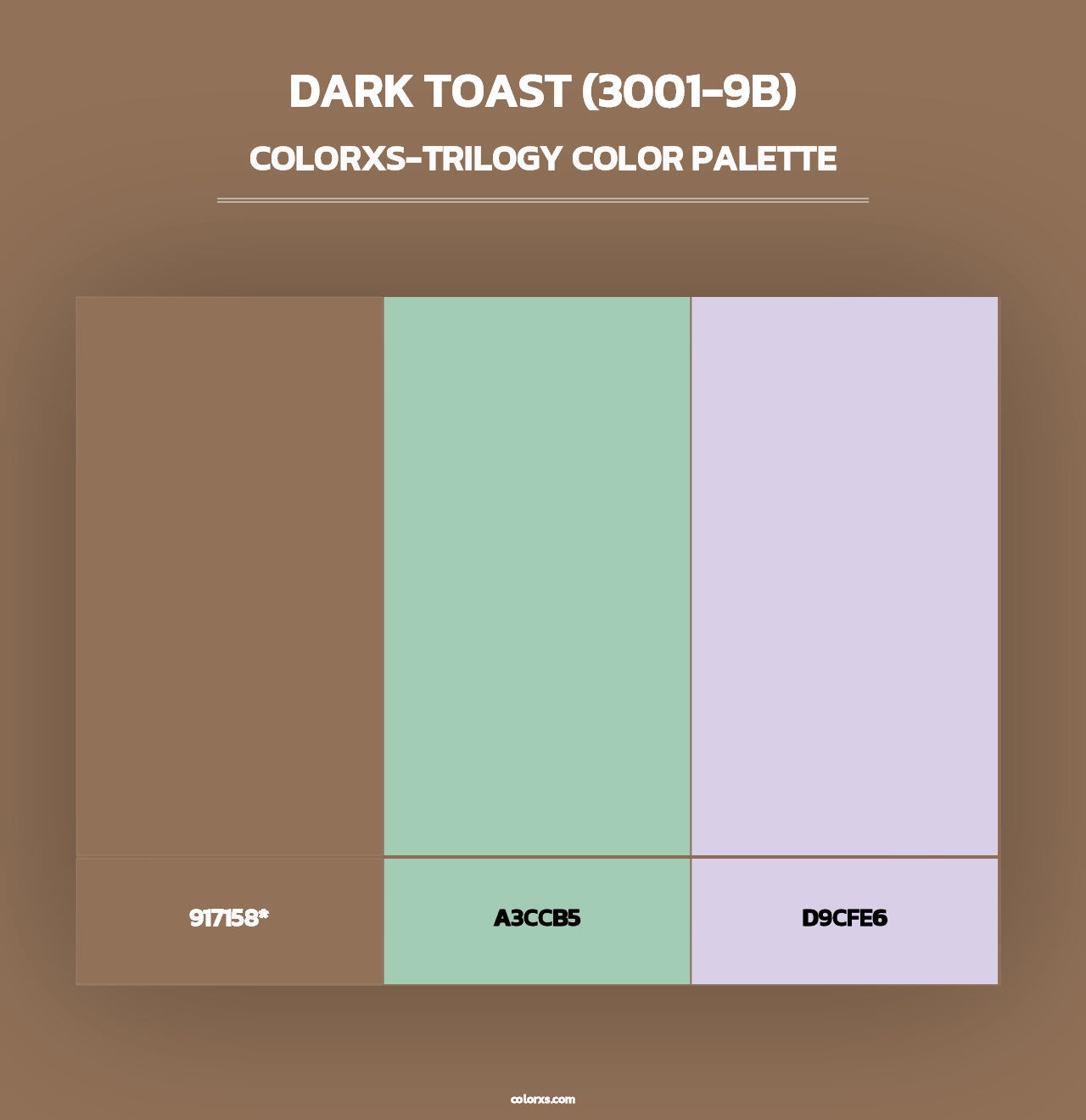 Dark Toast (3001-9B) - Colorxs Trilogy Palette