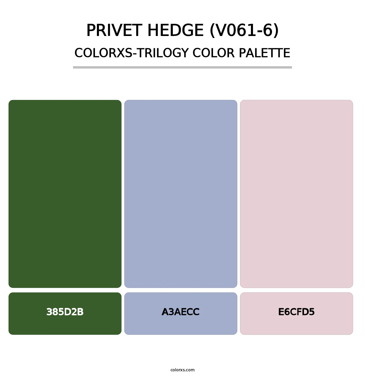 Privet Hedge (V061-6) - Colorxs Trilogy Palette