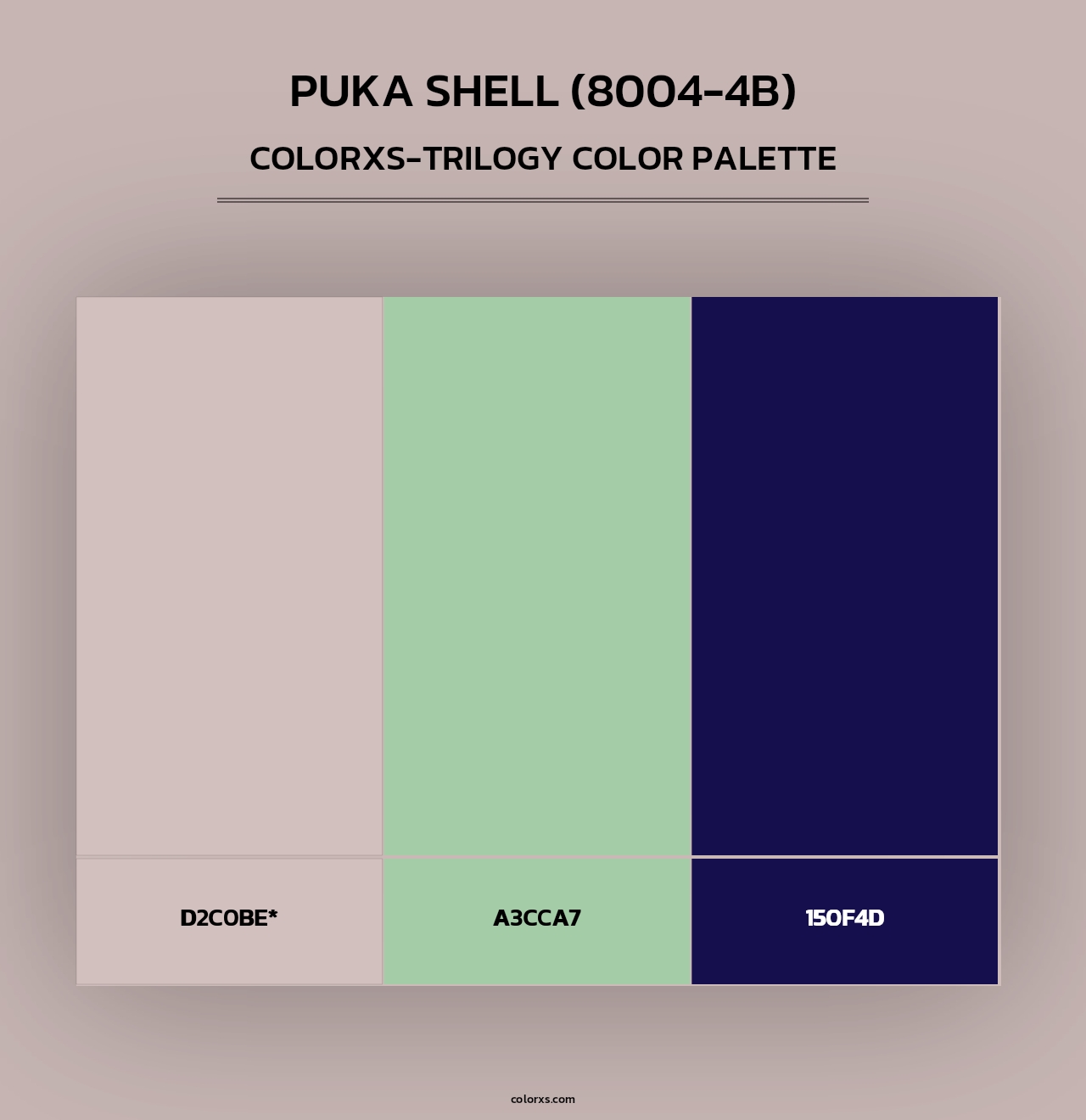 Puka Shell (8004-4B) - Colorxs Trilogy Palette