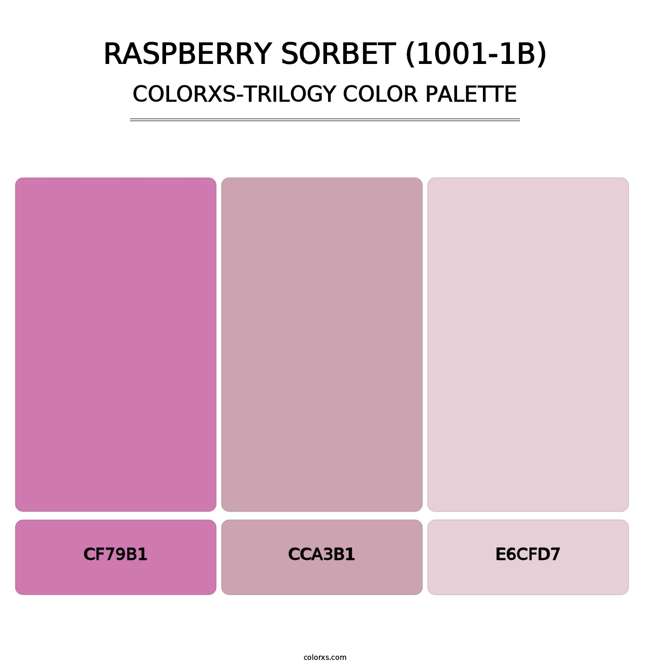 Raspberry Sorbet (1001-1B) - Colorxs Trilogy Palette