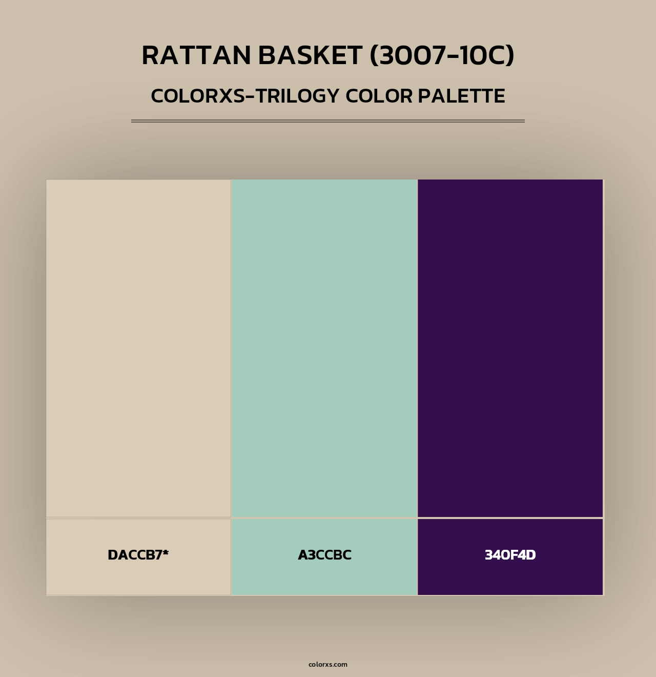 Rattan Basket (3007-10C) - Colorxs Trilogy Palette