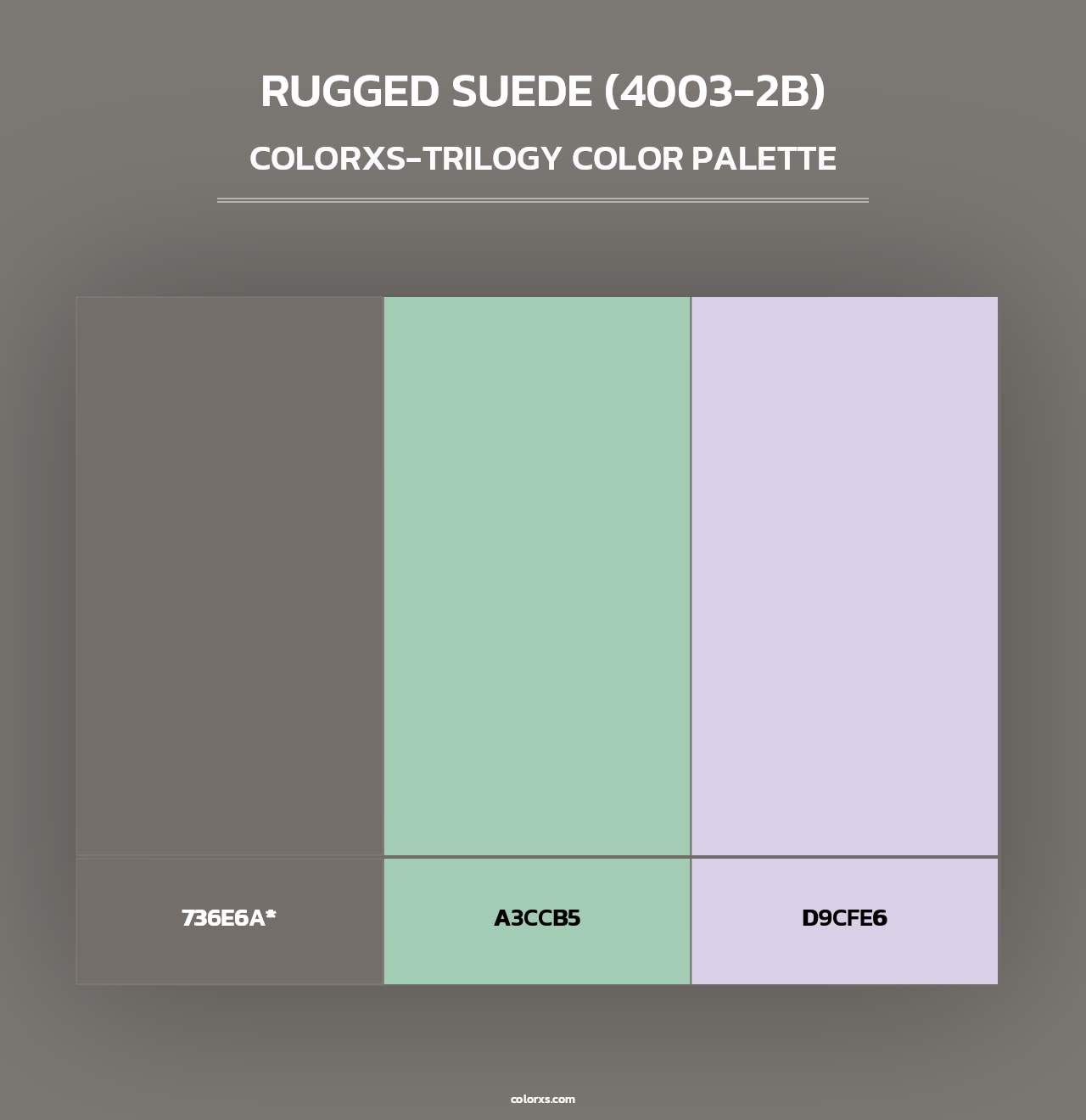 Rugged Suede (4003-2B) - Colorxs Trilogy Palette