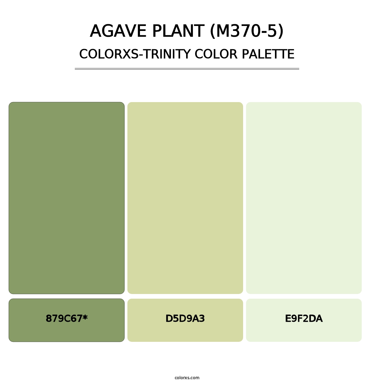 Agave Plant (M370-5) - Colorxs Trinity Palette
