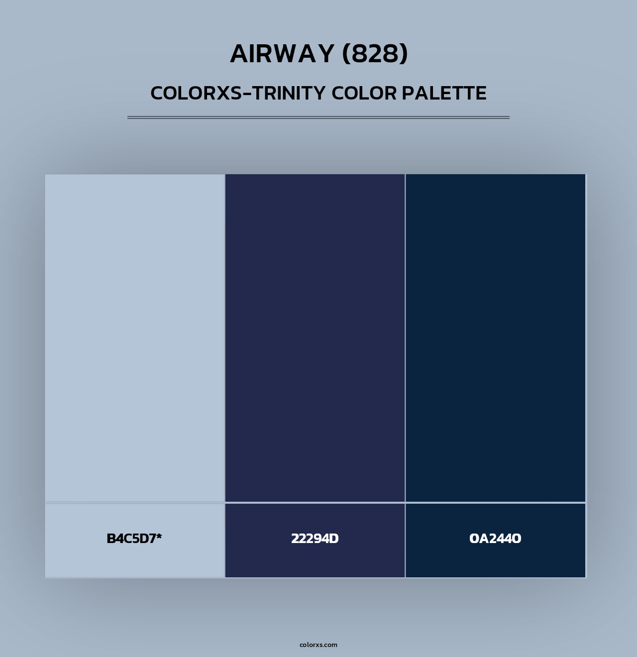 Airway (828) - Colorxs Trinity Palette