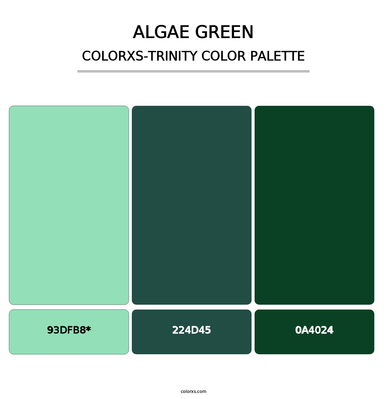 Algae Green - Colorxs Trinity Palette