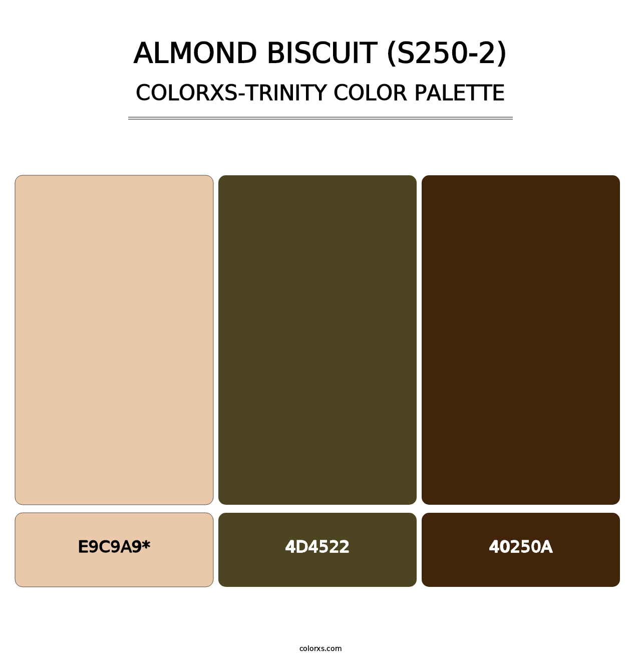 Almond Biscuit (S250-2) - Colorxs Trinity Palette