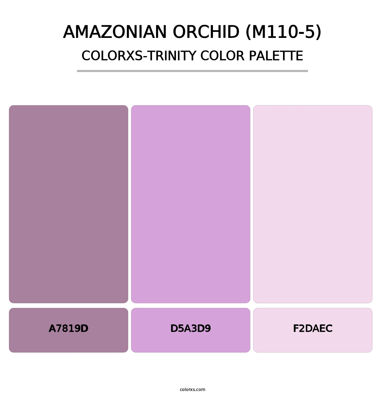 Amazonian Orchid (M110-5) - Colorxs Trinity Palette