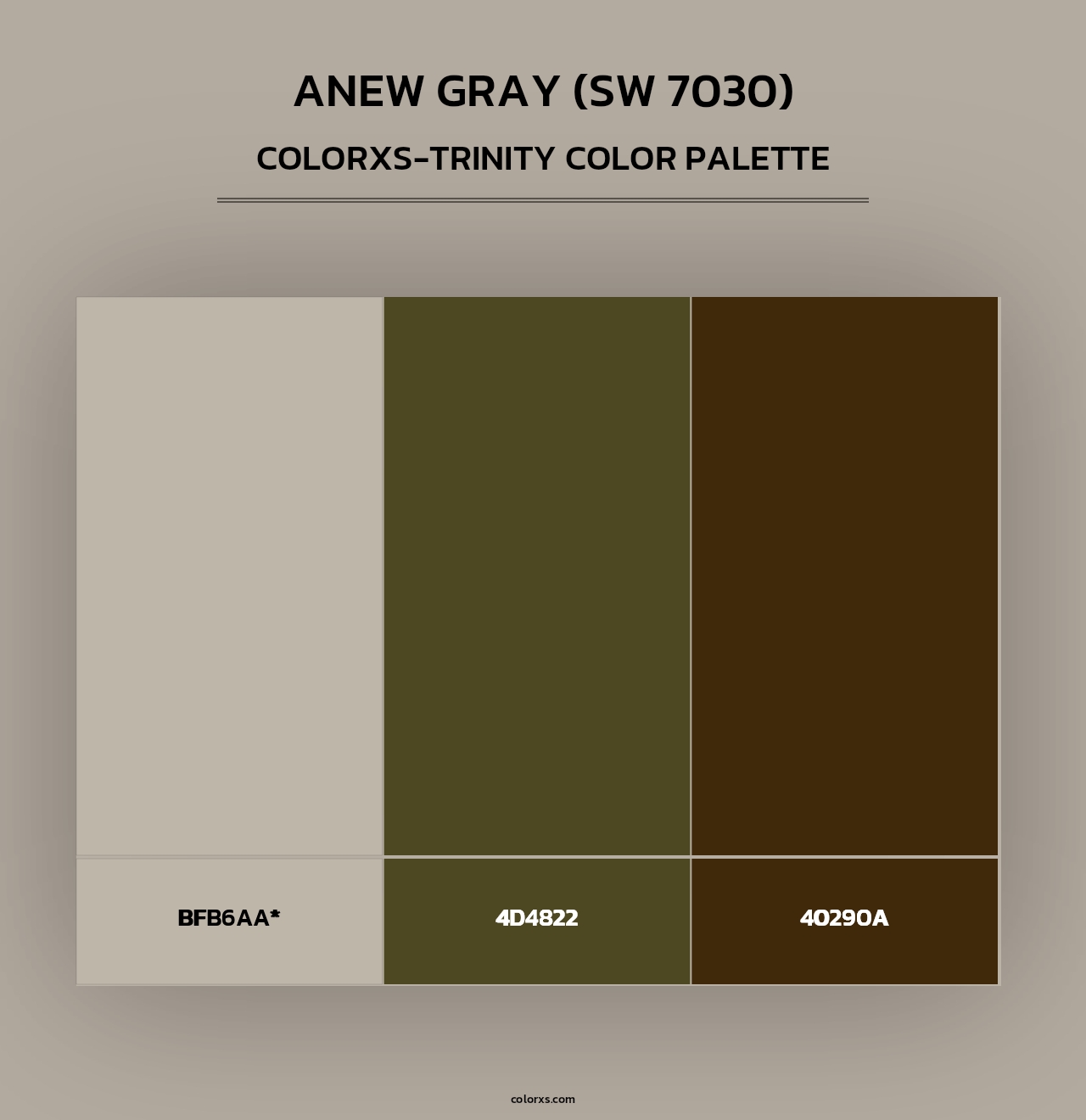 Anew Gray (SW 7030) - Colorxs Trinity Palette