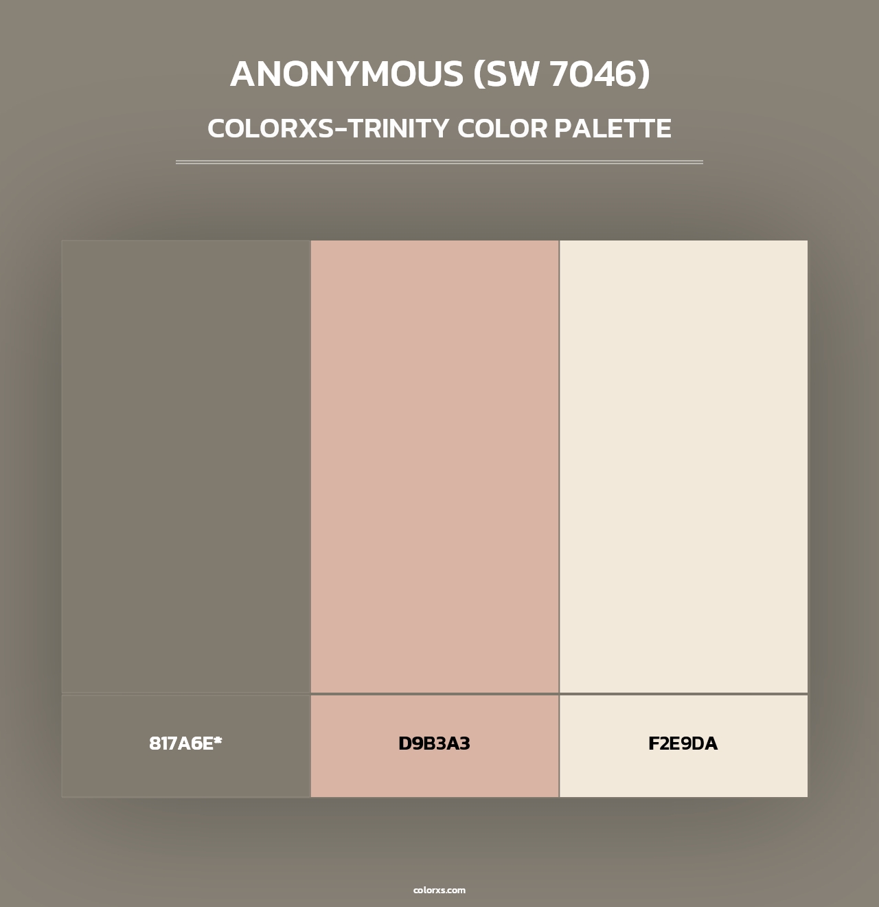 Anonymous (SW 7046) - Colorxs Trinity Palette