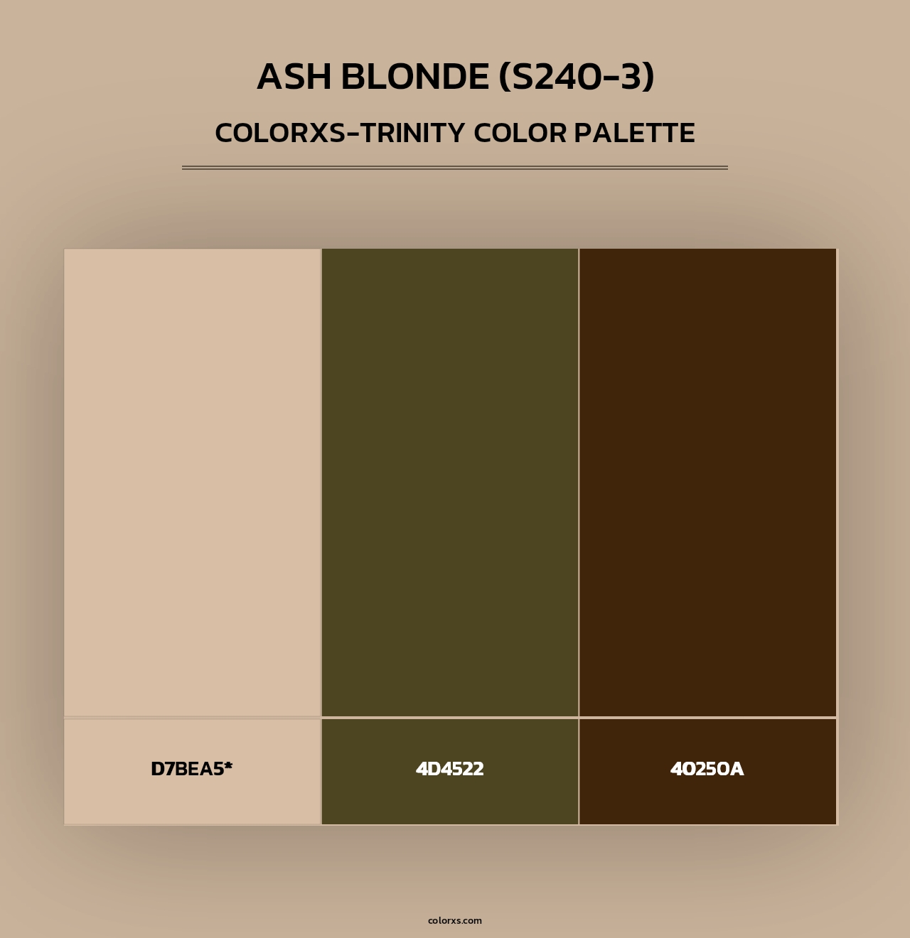 Ash Blonde (S240-3) - Colorxs Trinity Palette