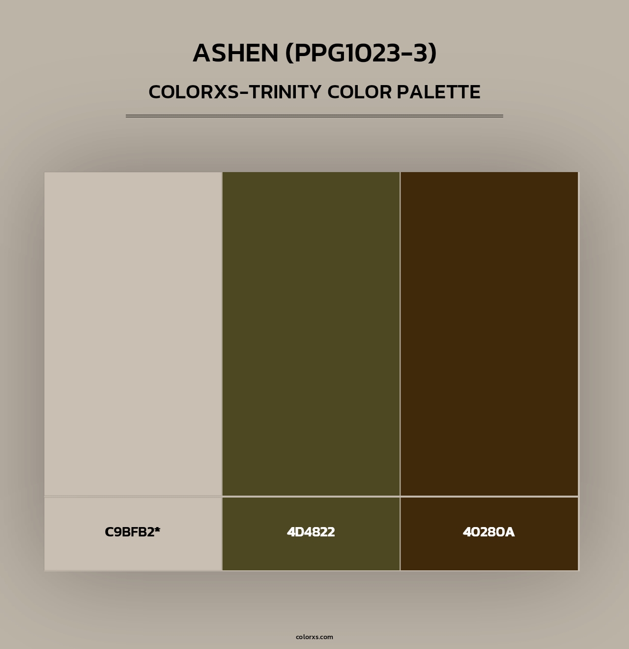 Ashen (PPG1023-3) - Colorxs Trinity Palette