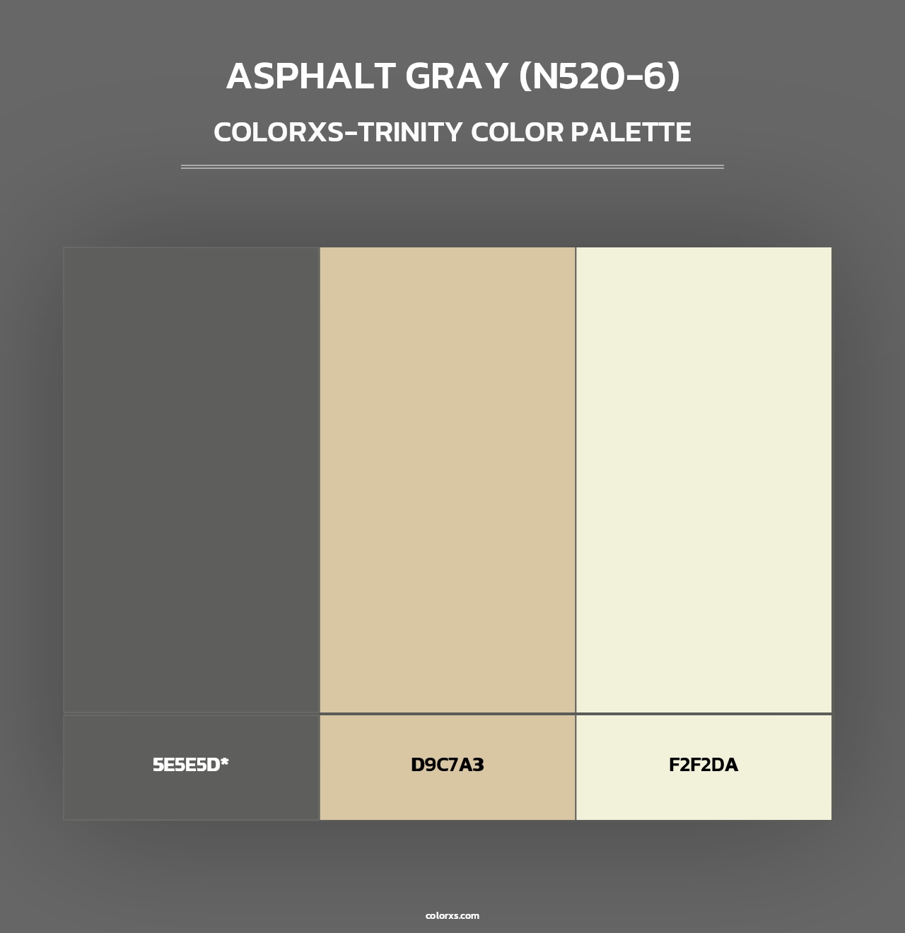 Asphalt Gray (N520-6) - Colorxs Trinity Palette