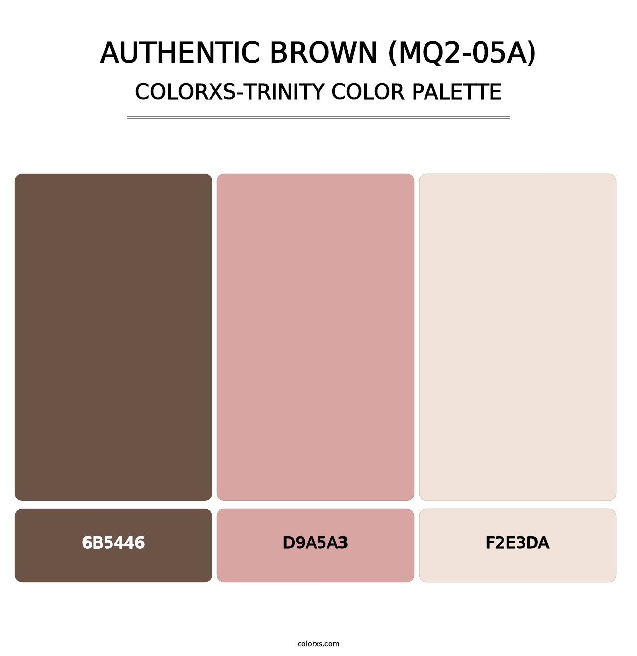 Authentic Brown (MQ2-05A) - Colorxs Trinity Palette