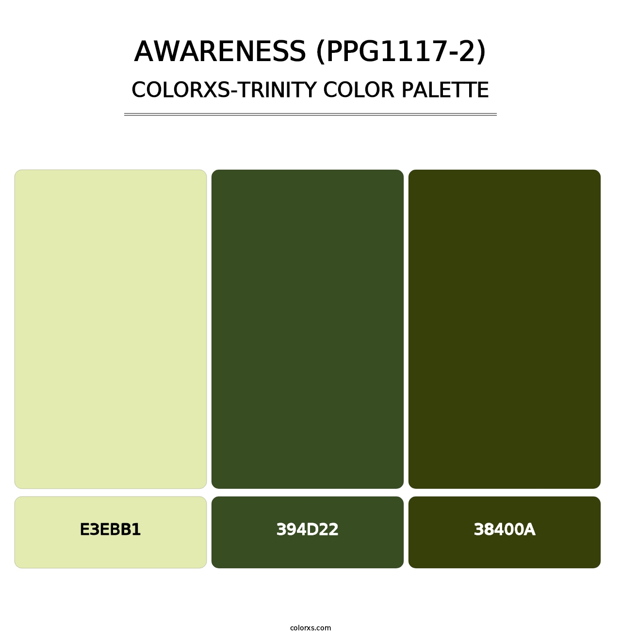 Awareness (PPG1117-2) - Colorxs Trinity Palette