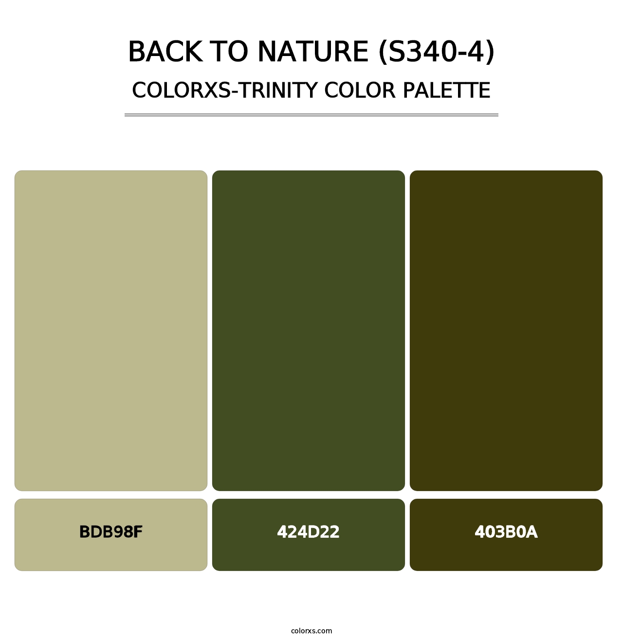 Back To Nature (S340-4) - Colorxs Trinity Palette