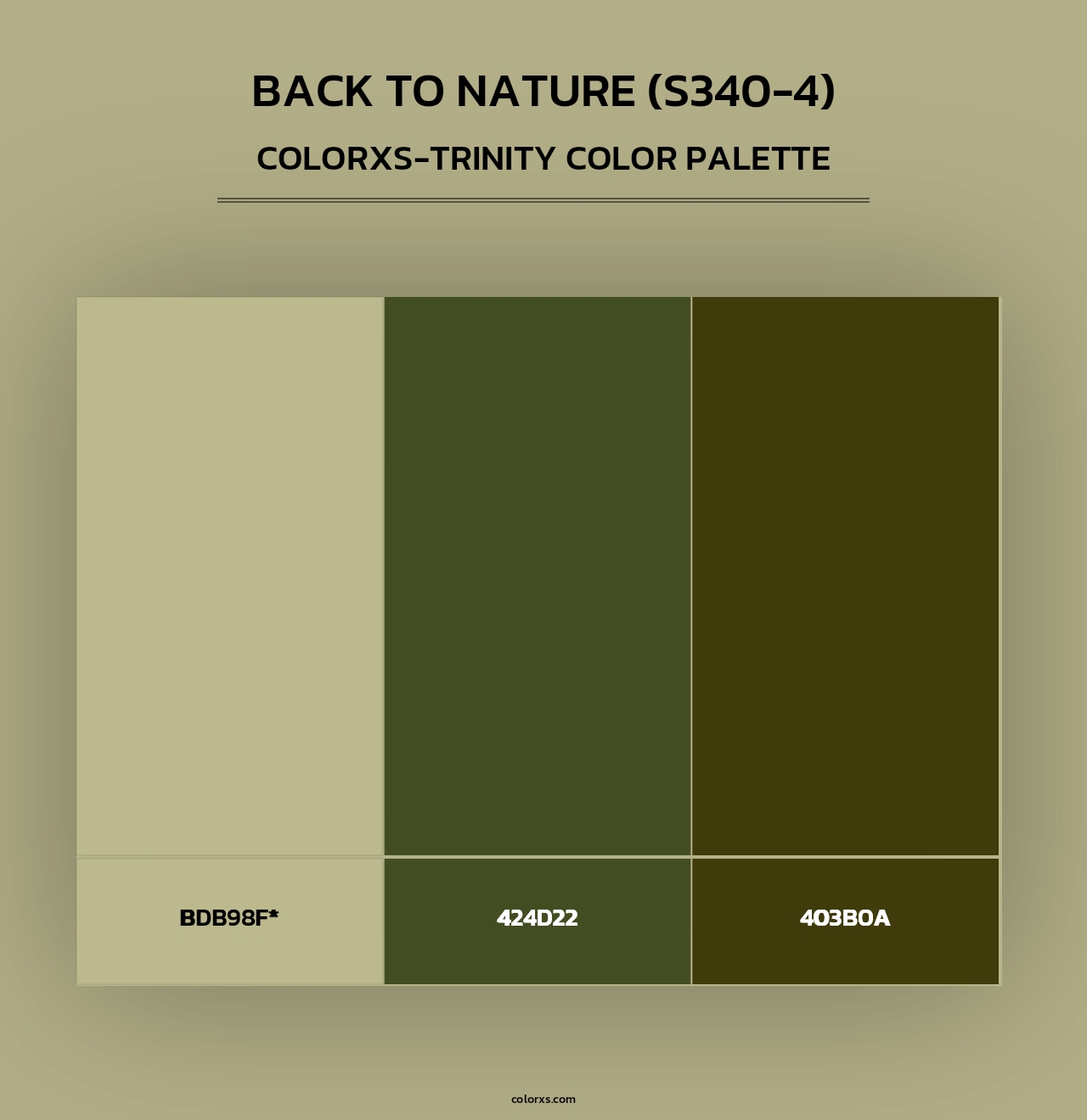 Back To Nature (S340-4) - Colorxs Trinity Palette