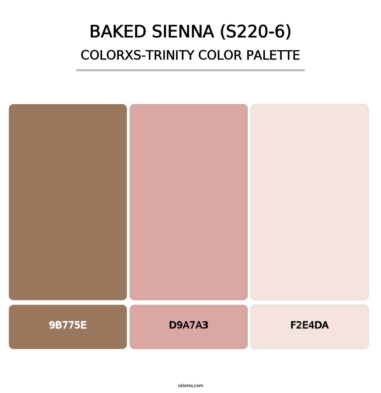Baked Sienna (S220-6) - Colorxs Trinity Palette