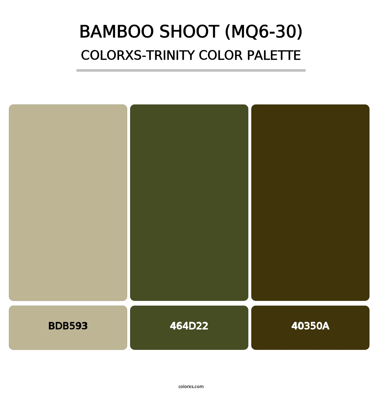 Bamboo Shoot (MQ6-30) - Colorxs Trinity Palette