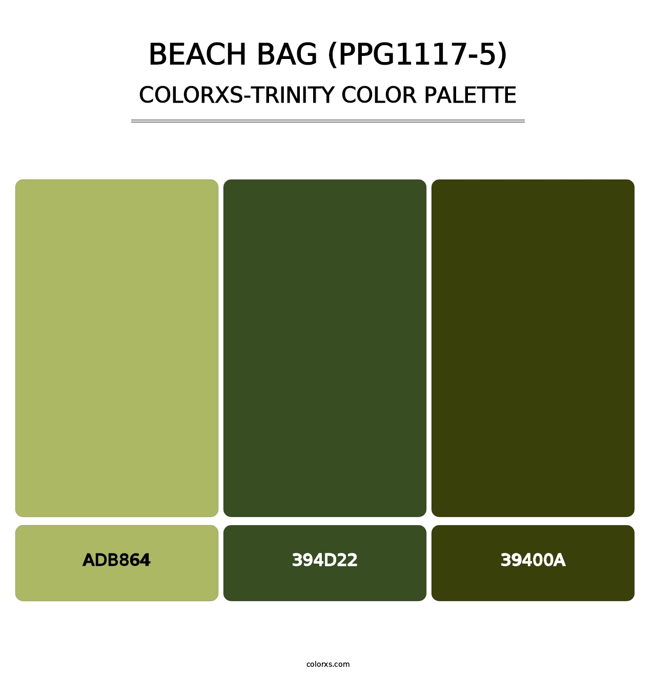 Beach Bag (PPG1117-5) - Colorxs Trinity Palette
