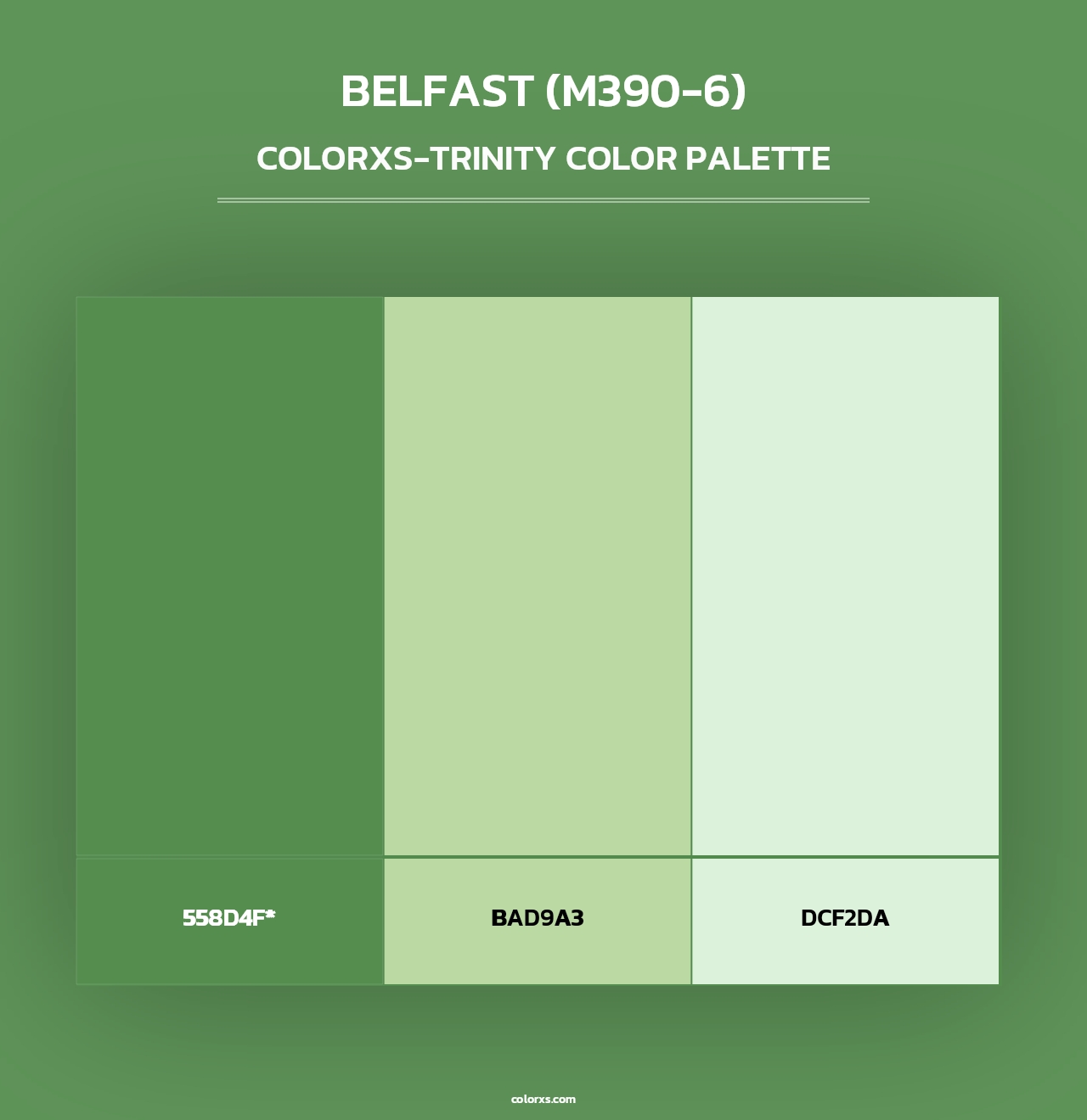 Belfast (M390-6) - Colorxs Trinity Palette