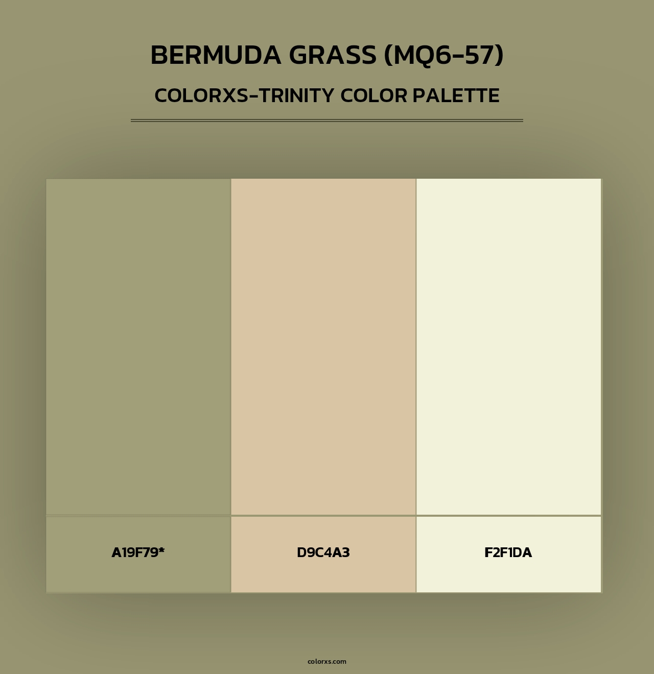 Bermuda Grass (MQ6-57) - Colorxs Trinity Palette