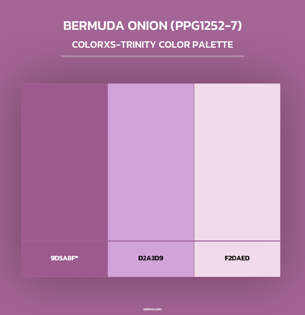 Bermuda Onion (PPG1252-7) - Colorxs Trinity Palette