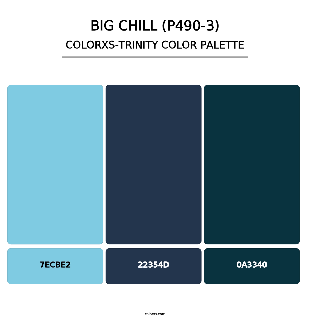Big Chill (P490-3) - Colorxs Trinity Palette