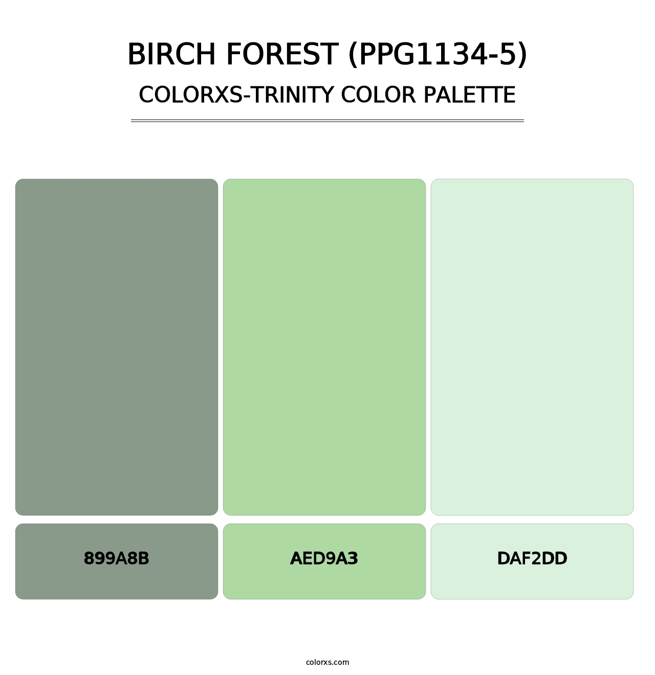 Birch Forest (PPG1134-5) - Colorxs Trinity Palette