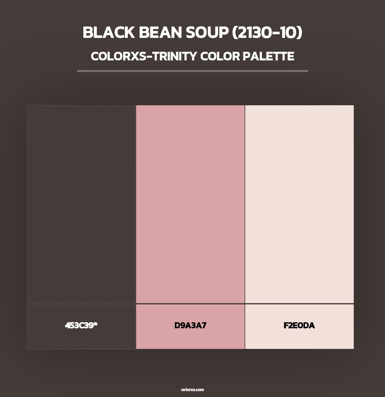 Black Bean Soup (2130-10) - Colorxs Trinity Palette