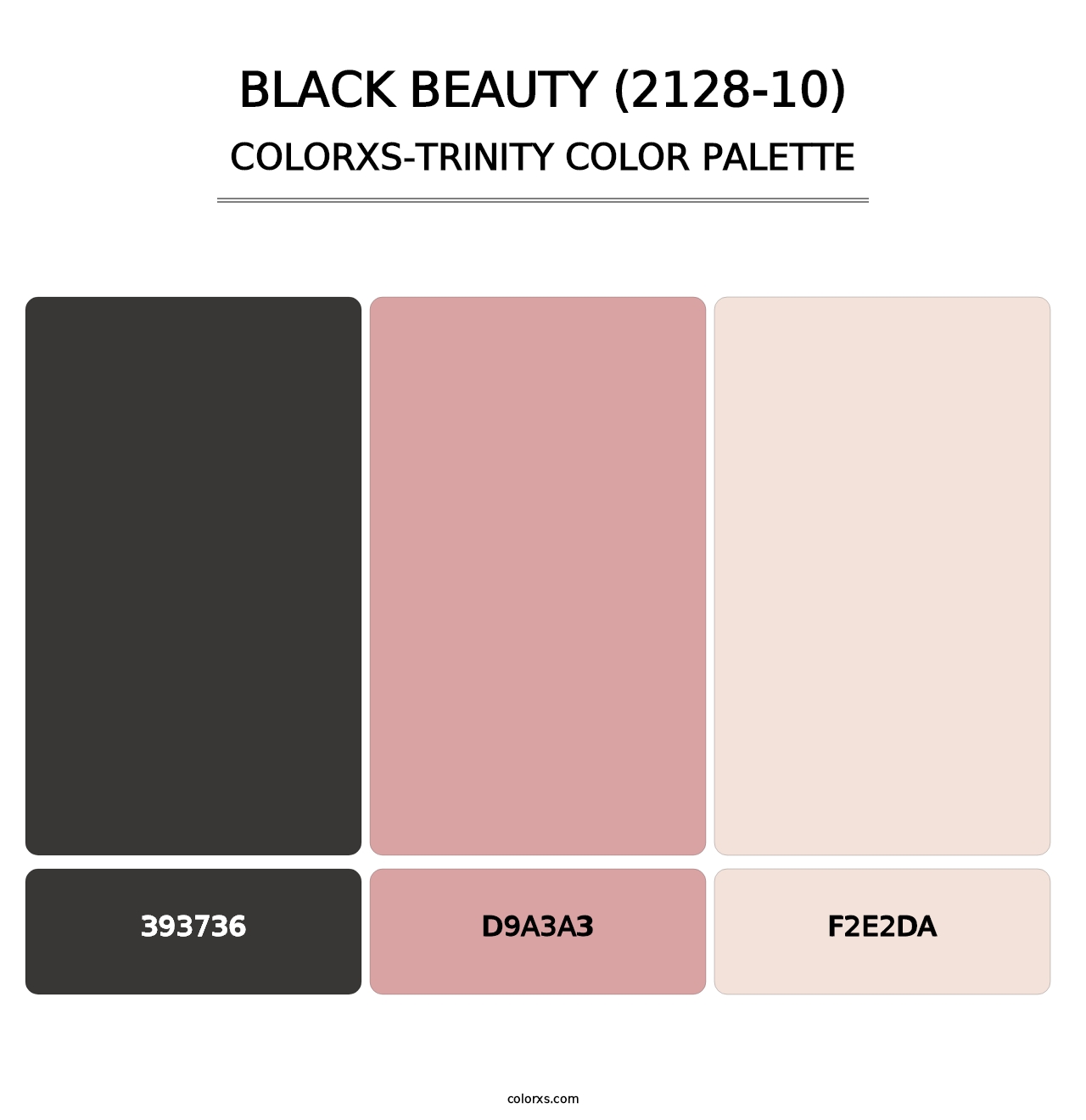 Black Beauty (2128-10) - Colorxs Trinity Palette