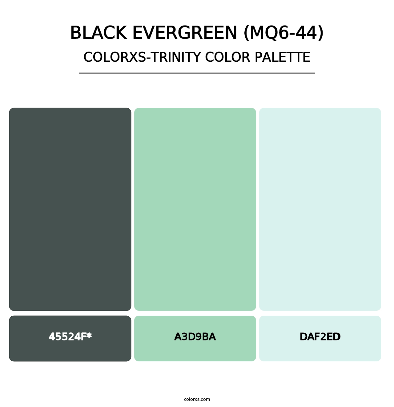 Black Evergreen (MQ6-44) - Colorxs Trinity Palette