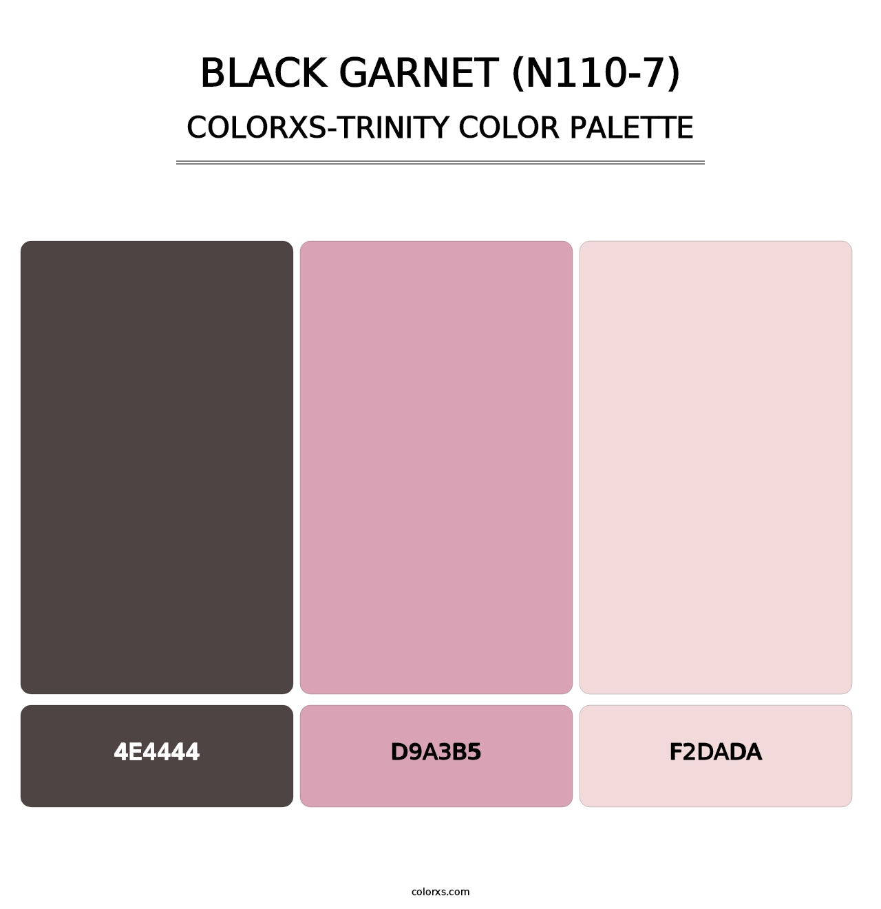 Black Garnet (N110-7) - Colorxs Trinity Palette