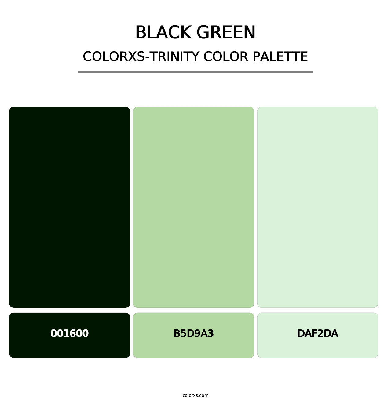 Black Green - Colorxs Trinity Palette