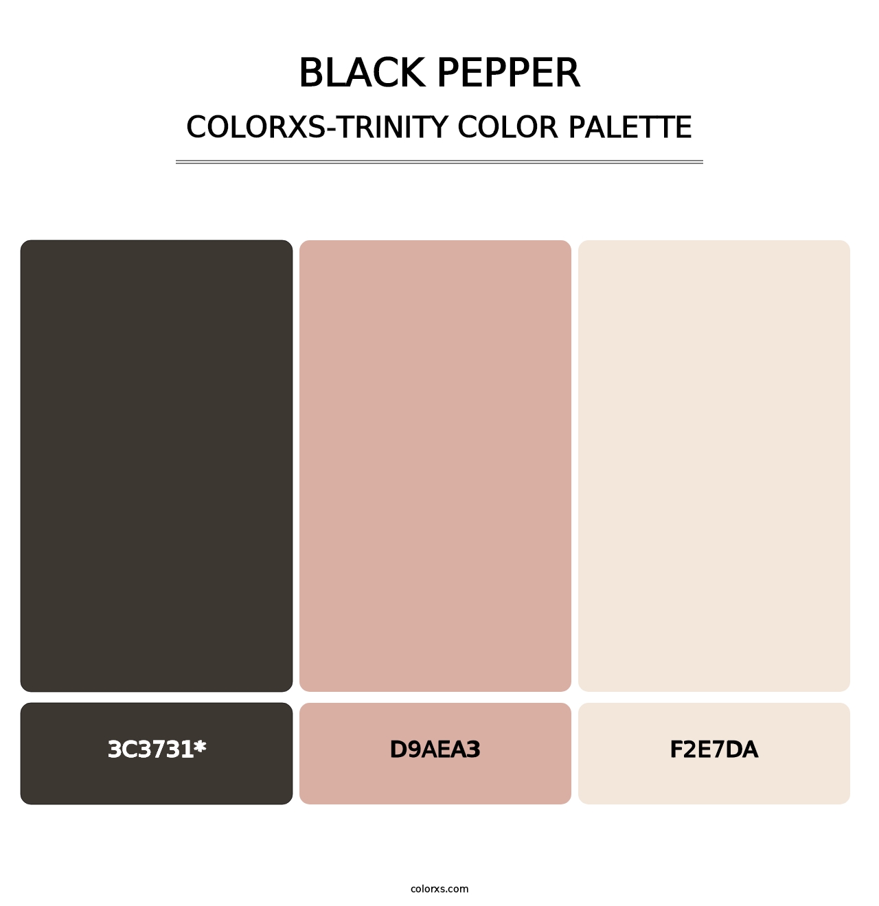 Black Pepper - Colorxs Trinity Palette