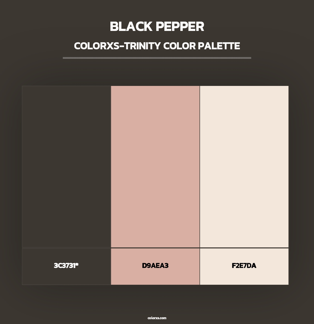 Black Pepper - Colorxs Trinity Palette